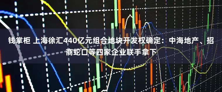 钱掌柜 上海徐汇440亿元组合地块开发权确定：中海地产、招商蛇口等四家企业联手拿下
