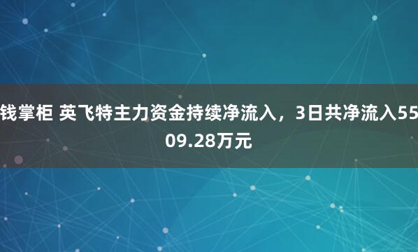 钱掌柜 英飞特主力资金持续净流入，3日共净流入5509.28万元
