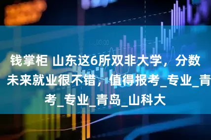 钱掌柜 山东这6所双非大学，分数高低都有，未来就业很不错，值得报考_专业_青岛_山科大